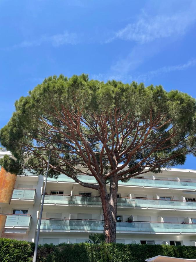 Superbe Studio Lumineux Sur Cannes Avec Terrasse ! A Quelques Minutes De La Celebre Rue D'Antibes ! Eksteriør bilde